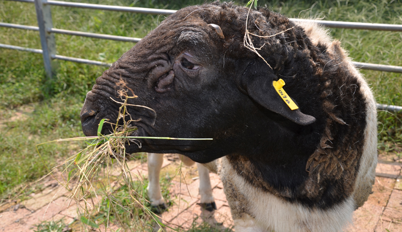 1641464232607608.jpg 2aa2de2264916e17ef6b91cc9bf53114.jpg